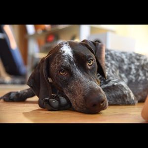 Meet your Posher, Gretchen